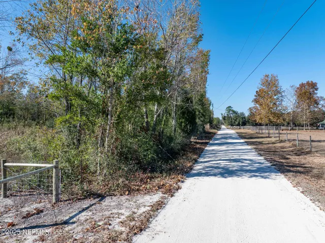 a view of a backyard with pathway
