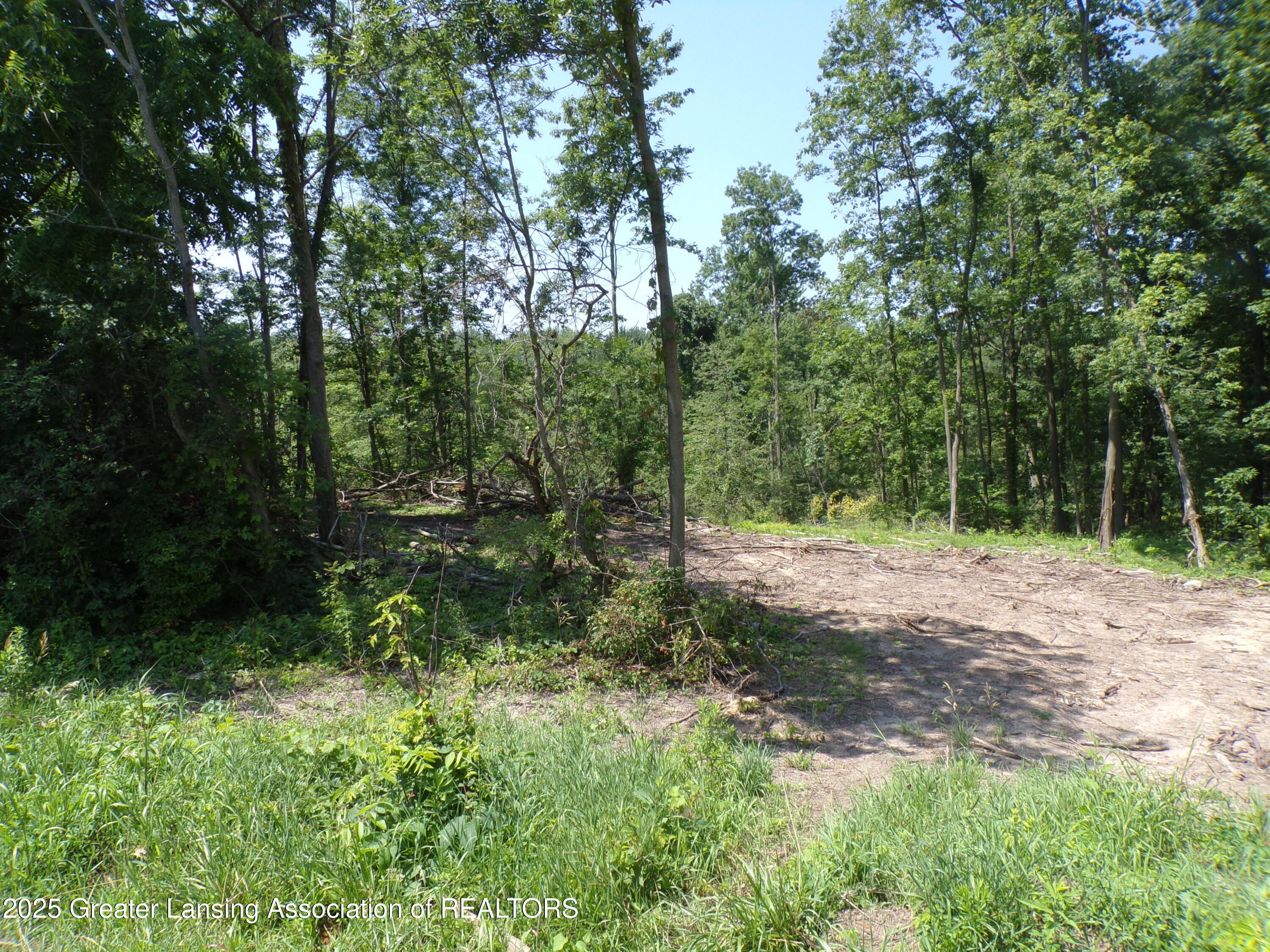 0 South Lacey Lake Road Bellevue, MI 49021 - Photo 1 of 12 101_0611