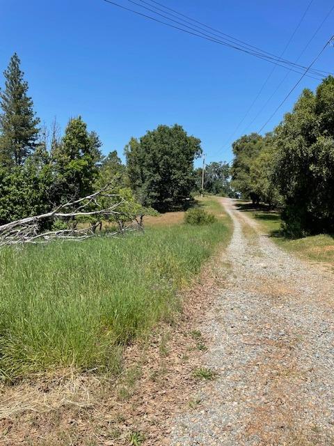 7495 Doster Road, Unit PCL A PM 6 69 Mountain Ranch, CA 95246 - Photo 1 of 1 Driveway up to the home site.