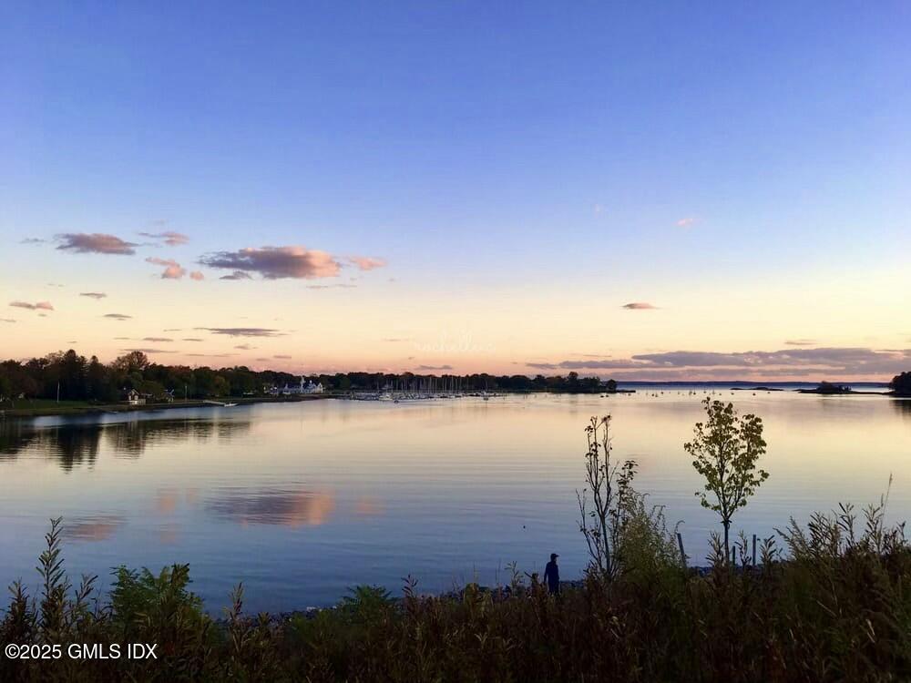 3 Putnam Hill, Unit 3F Greenwich, CT 06830 - Photo 15 of 19 Cos Cob Park