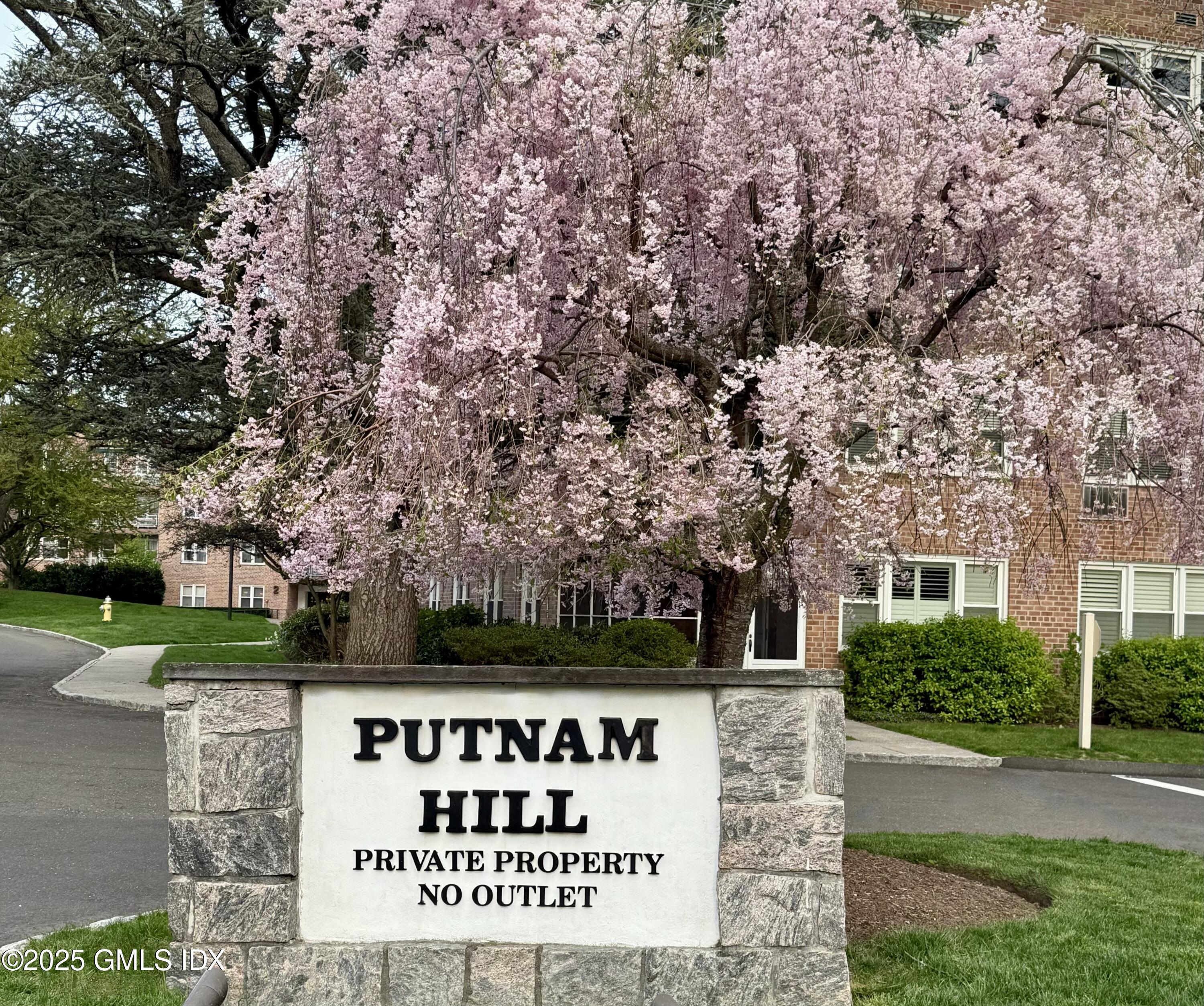 3 Putnam Hill, Unit 3F Greenwich, CT 06830 - Photo 3 of 19 Putnam Hill