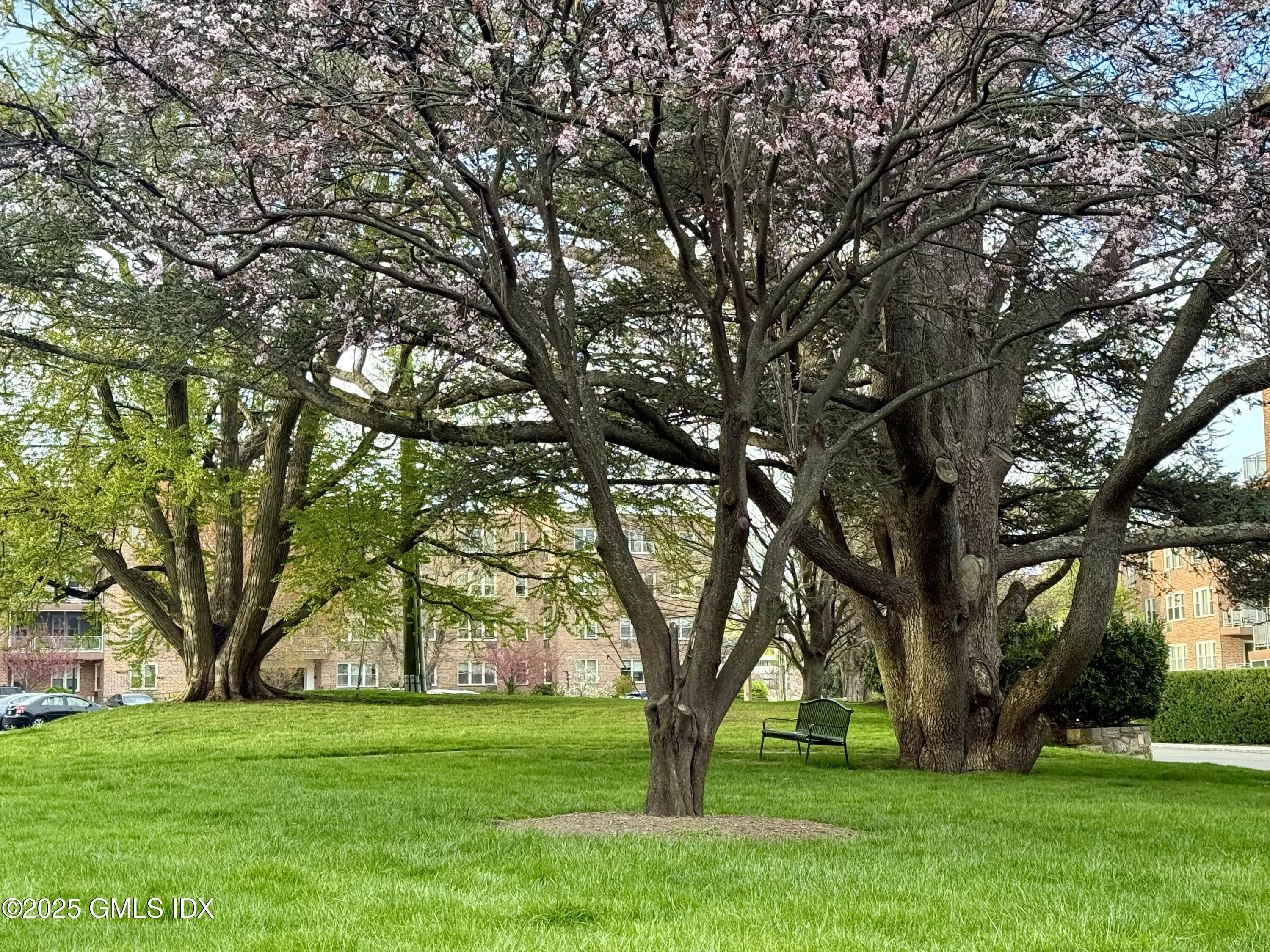 3 Putnam Hill, Unit 3F Greenwich, CT 06830 - Photo 4 of 19 10-Acre Complex Grounds