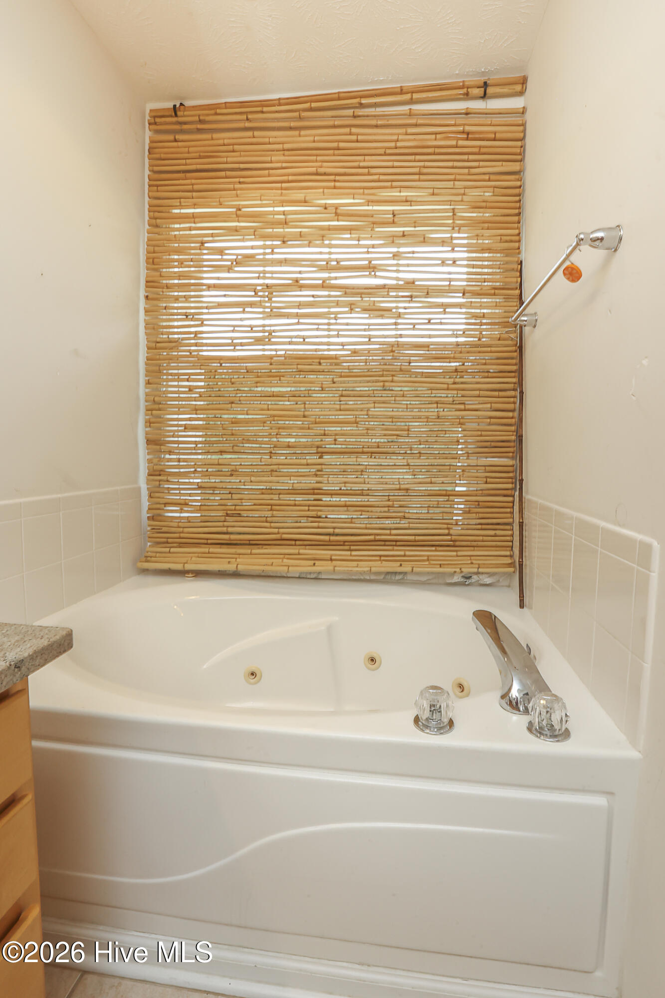 217 Rutherford Way Jacksonville, NC 28540 - Photo 28 of 96 Primary Bedroom Bathroom-1st Floor