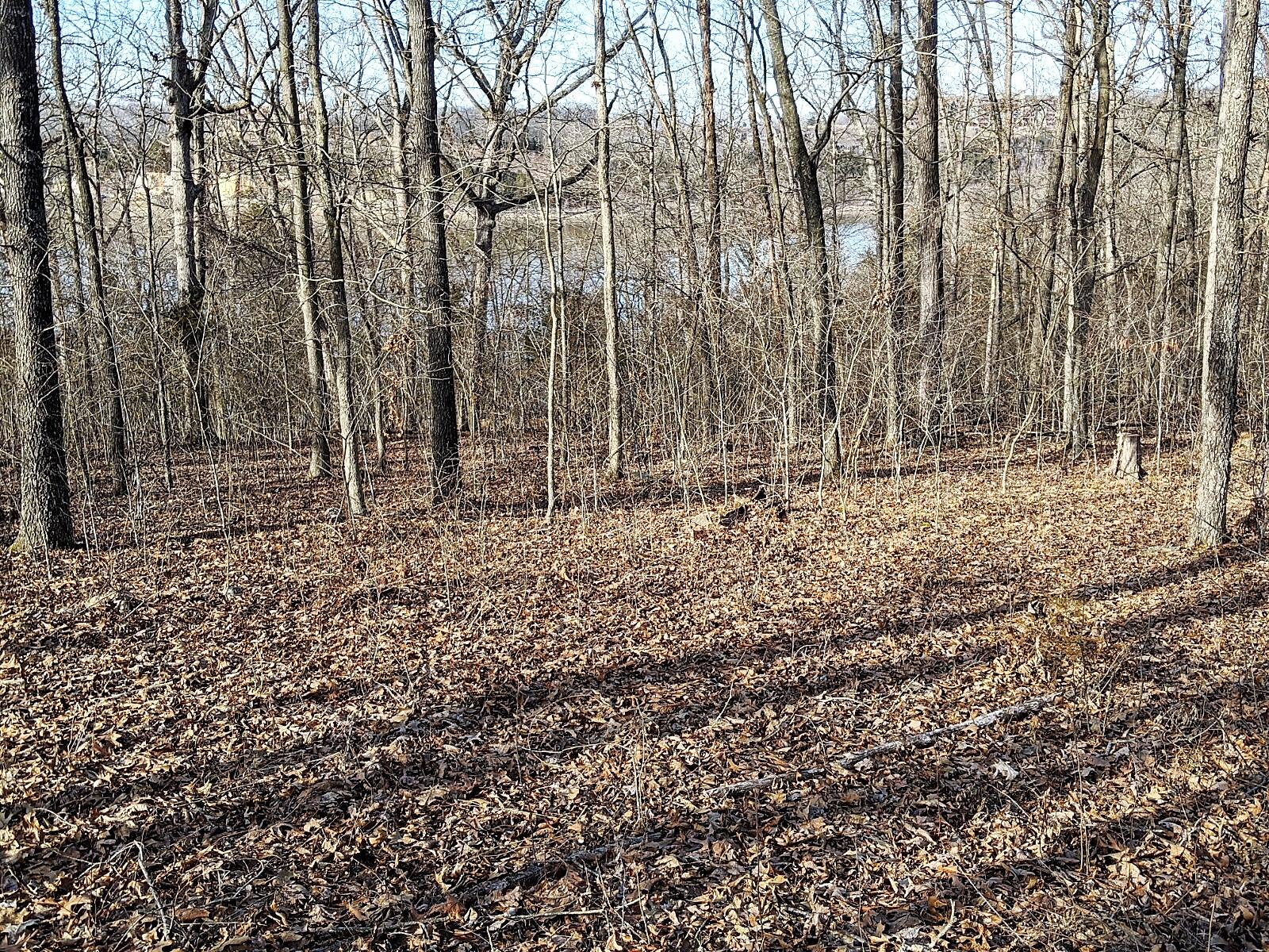 27-28 Tate Road Ridgedale, MO 65739 - Photo 1 of 1 Lakefront Lot