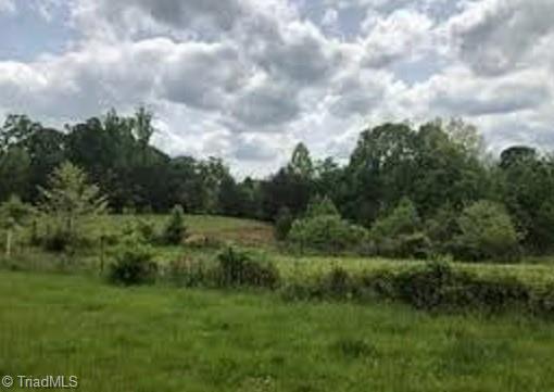 4591 Mecum Road Walkertown, NC 27051 - Photo 1 of 1 Gallery Image 1