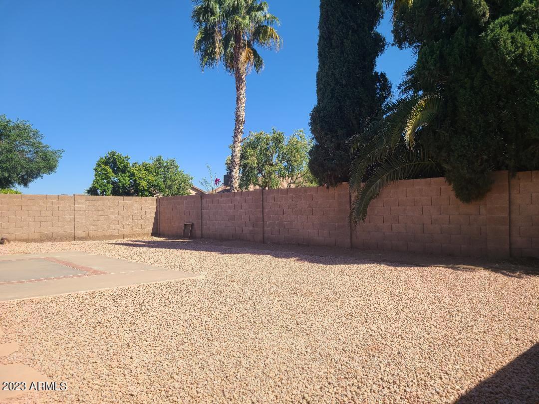4509 East Frye Road Phoenix, AZ 85048 - Photo 17 of 48 yard