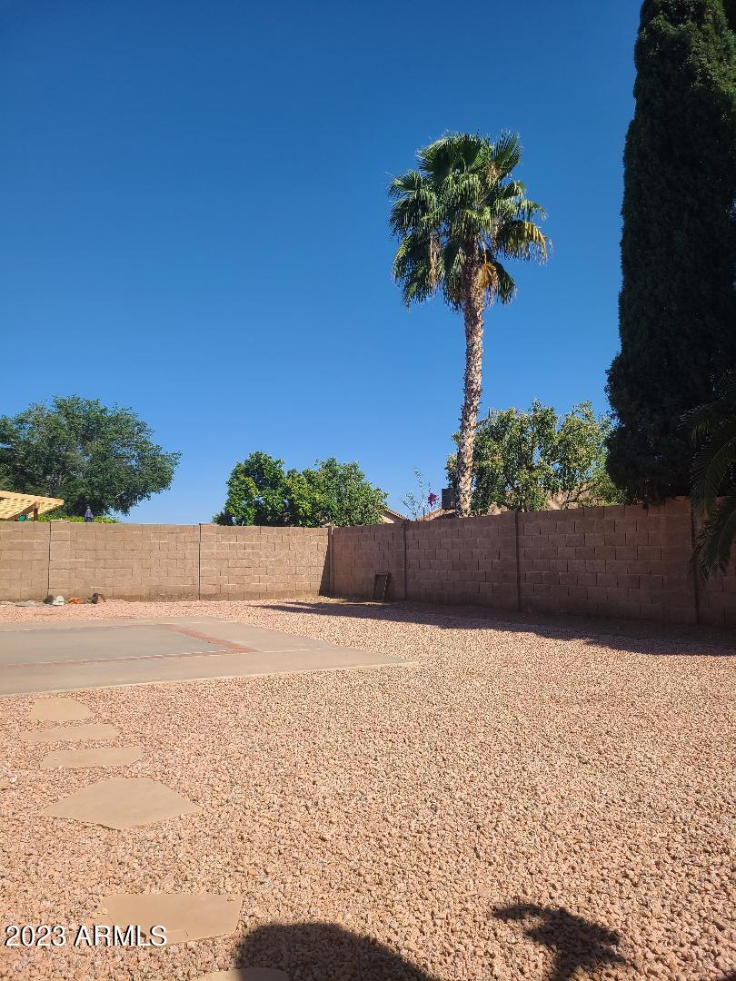 4509 East Frye Road Phoenix, AZ 85048 - Photo 18 of 48 yard1
