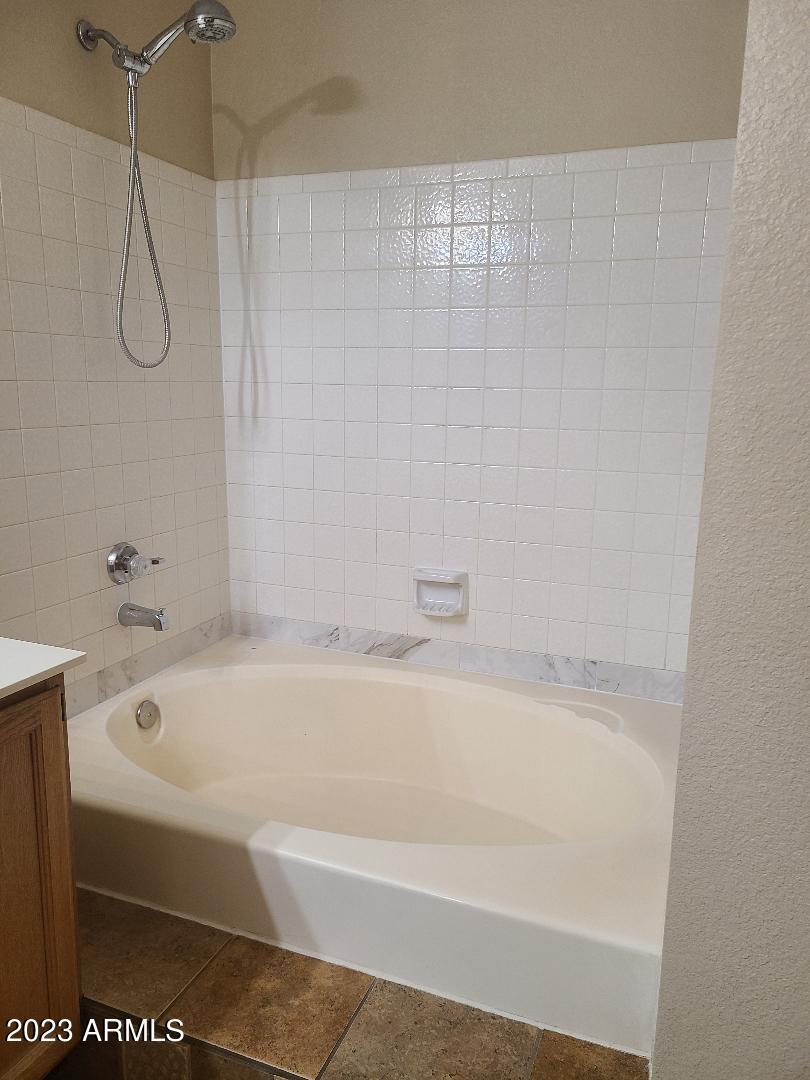 4509 East Frye Road Phoenix, AZ 85048 - Photo 29 of 48 mastertub_1
