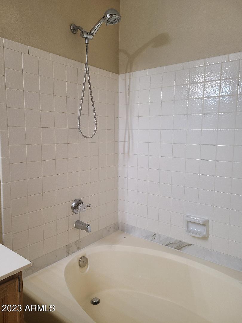 4509 East Frye Road Phoenix, AZ 85048 - Photo 30 of 48 mastertub