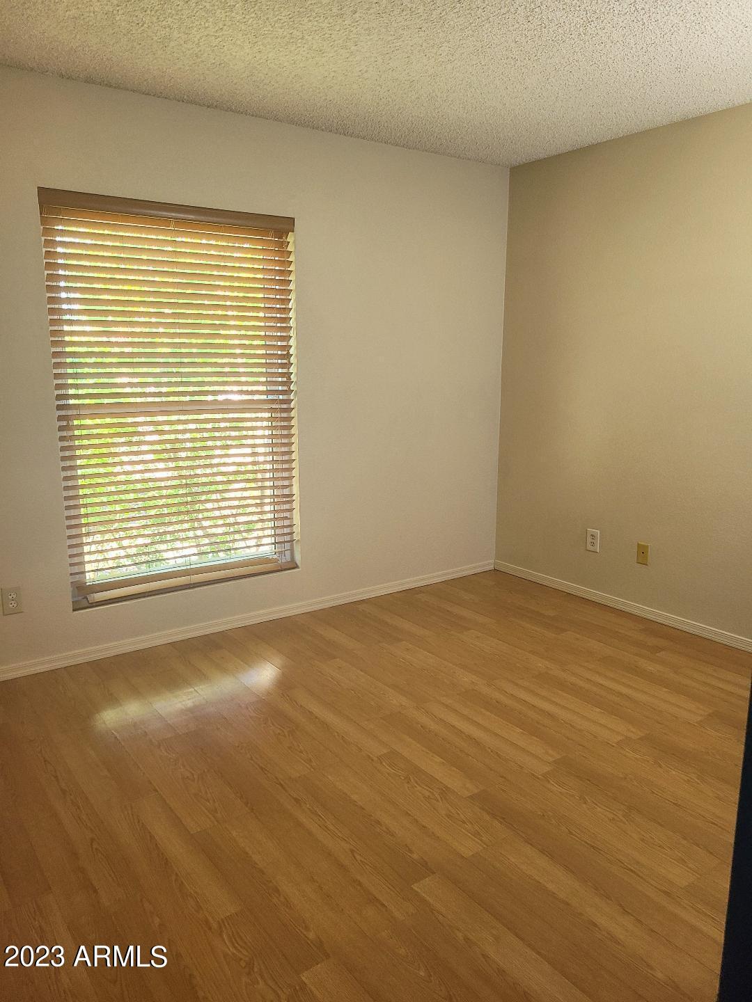 4509 East Frye Road Phoenix, AZ 85048 - Photo 46 of 48 light_4