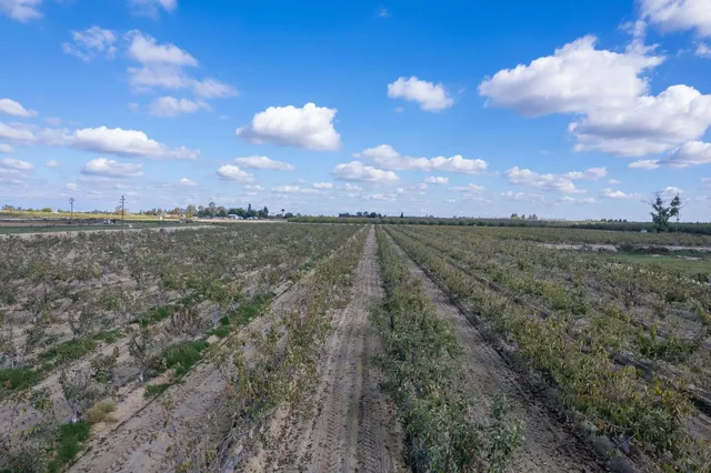a view of an lake and sunset