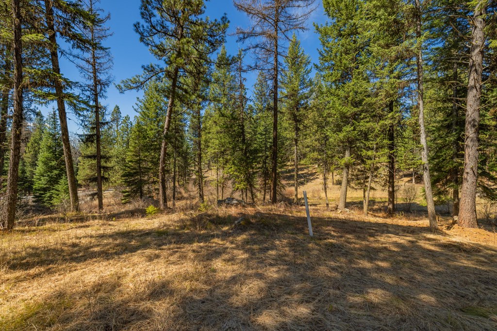 8 York Street, Unit 11 McCall, ID 83638 - Photo 11 of 40