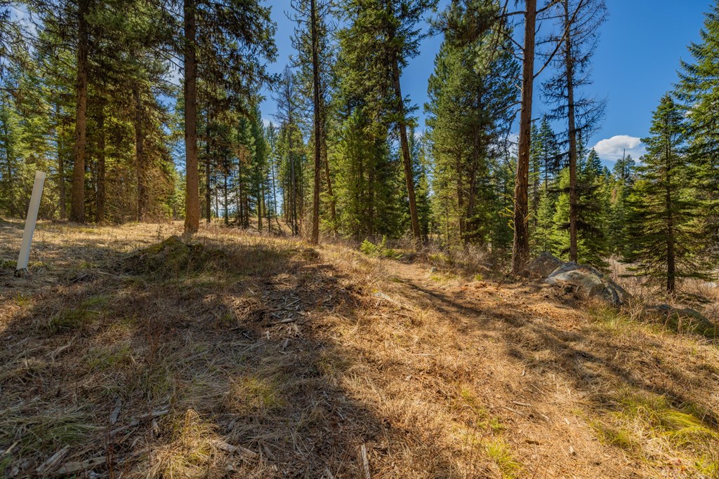8 York Street, Unit 11 McCall, ID 83638 - Photo 12 of 40