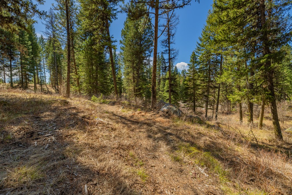8 York Street, Unit 11 McCall, ID 83638 - Photo 13 of 40
