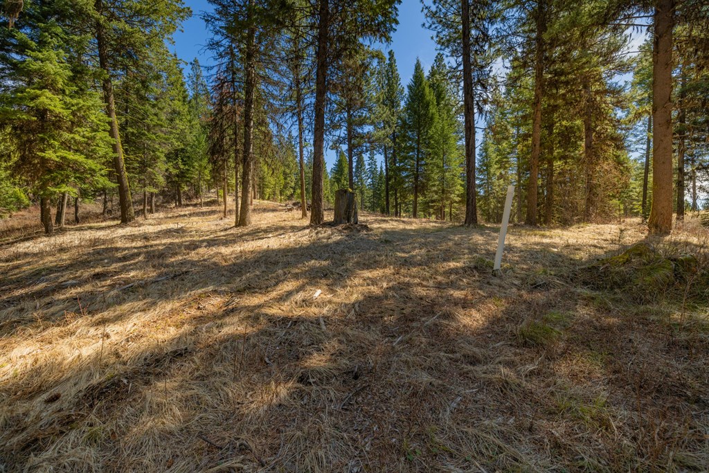 8 York Street, Unit 11 McCall, ID 83638 - Photo 14 of 40