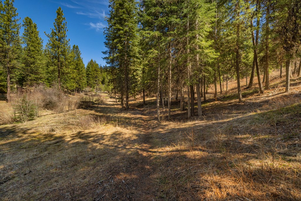 8 York Street, Unit 11 McCall, ID 83638 - Photo 15 of 40