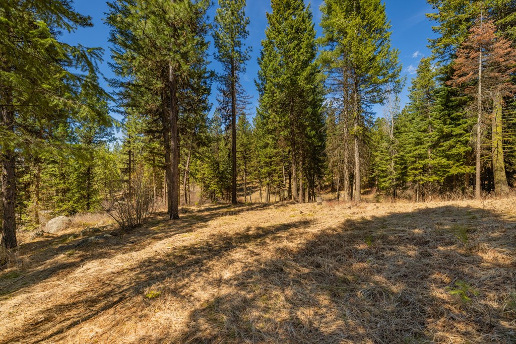 8 York Street, Unit 11 McCall, ID 83638 - Photo 16 of 40