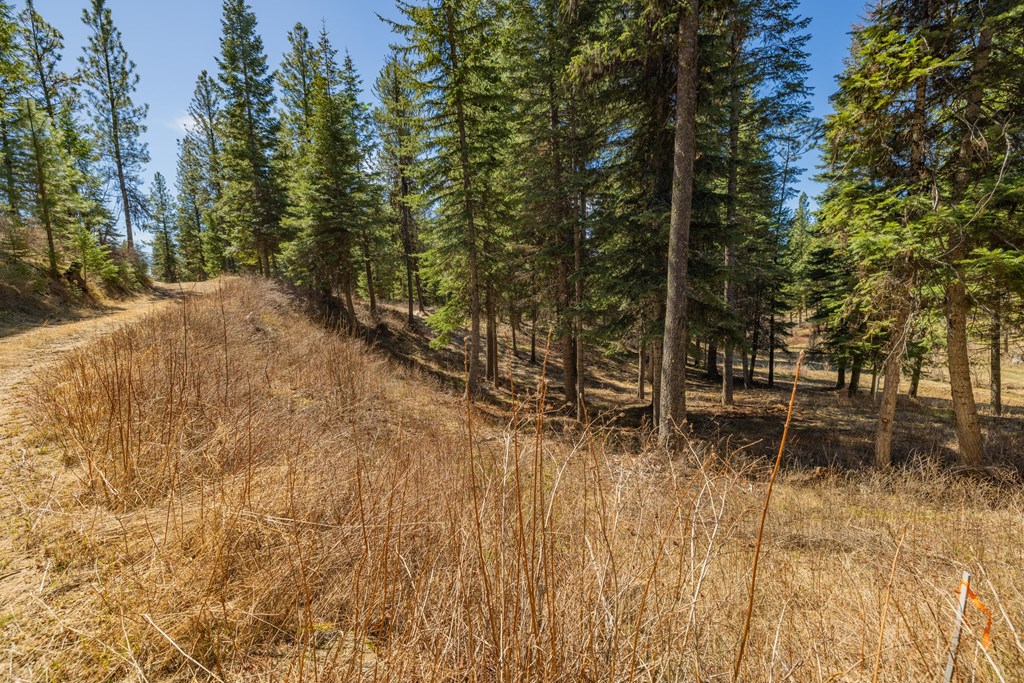 8 York Street, Unit 11 McCall, ID 83638 - Photo 18 of 40