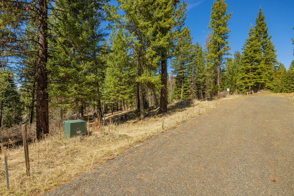 8 York Street, Unit 11 McCall, ID 83638 - Photo 2 of 40