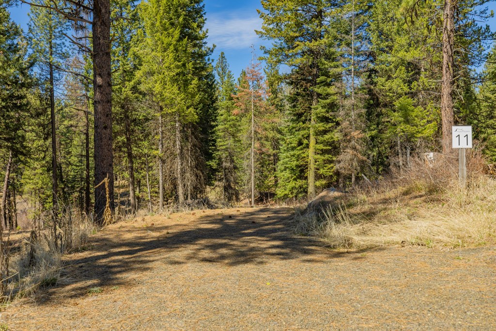 8 York Street, Unit 11 McCall, ID 83638 - Photo 3 of 40