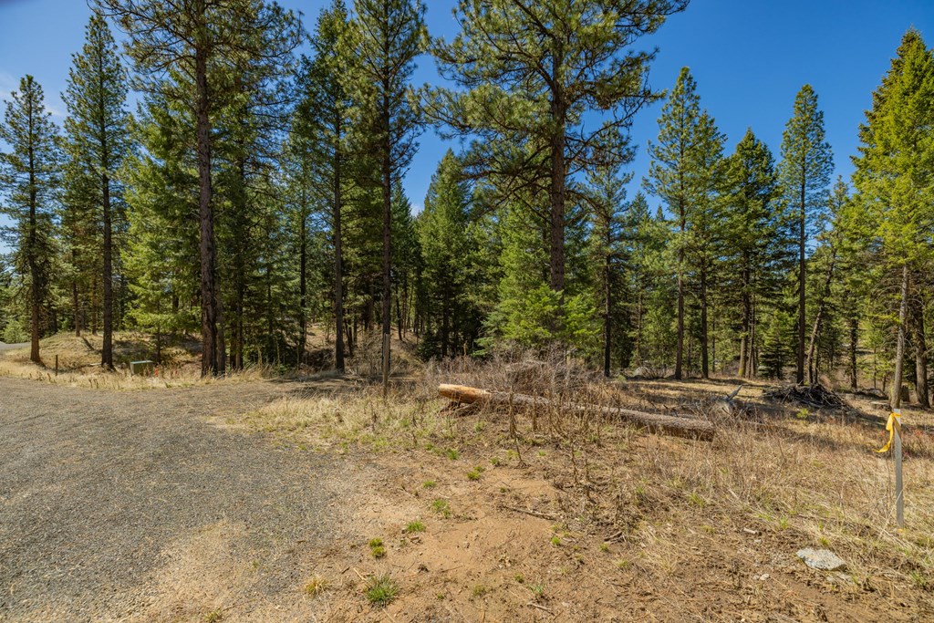 8 York Street, Unit 11 McCall, ID 83638 - Photo 4 of 40