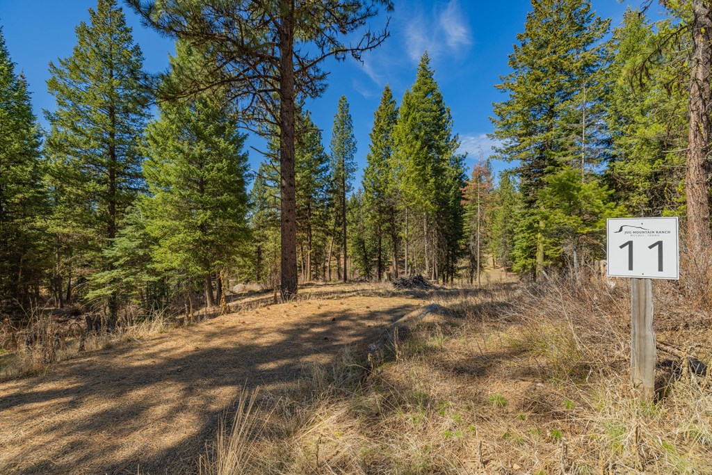 8 York Street, Unit 11 McCall, ID 83638 - Photo 5 of 40