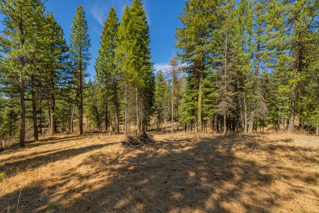 8 York Street, Unit 11 McCall, ID 83638 - Photo 7 of 40