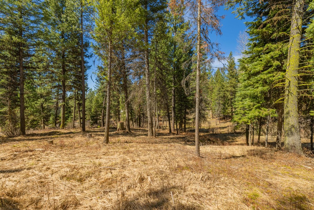 8 York Street, Unit 11 McCall, ID 83638 - Photo 8 of 40