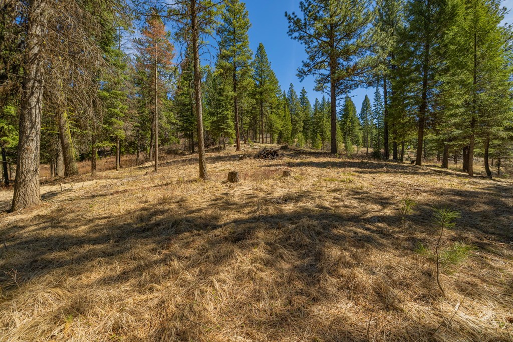 8 York Street, Unit 11 McCall, ID 83638 - Photo 10 of 40