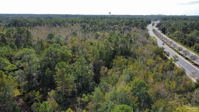 a view of a forest with a street
