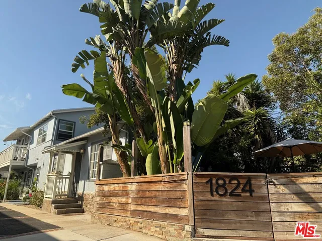 a view of a street with flower plants