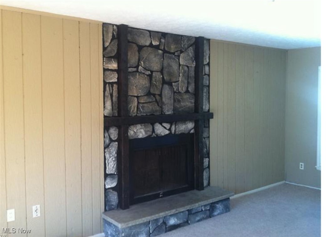5945 Randy Road Bedford Heights, OH 44146 - Photo 4 of 13 Detailed view of wood walls, carpet, and a stone fireplace