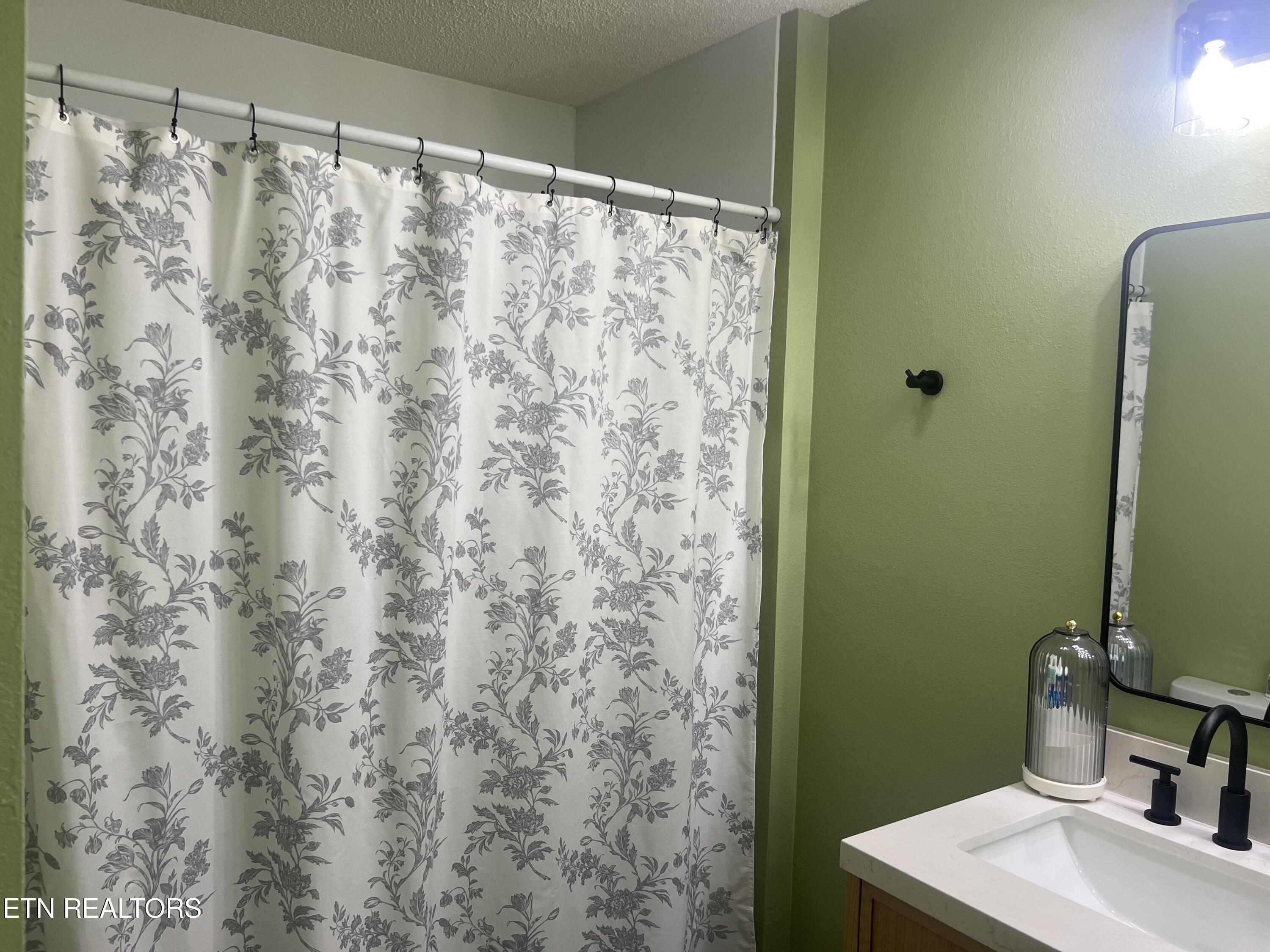 145 Moytoy Road, Unit 103 Crab Orchard, TN 37723 - Photo 11 of 16 IMG_6756