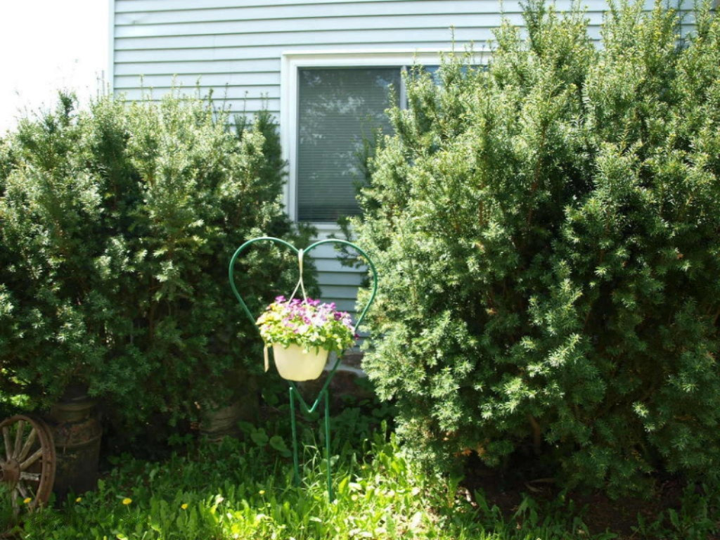 7704 South Alger Road Perrinton, MI 48871 - Photo 37 of 37 20180516210131224015000000-o