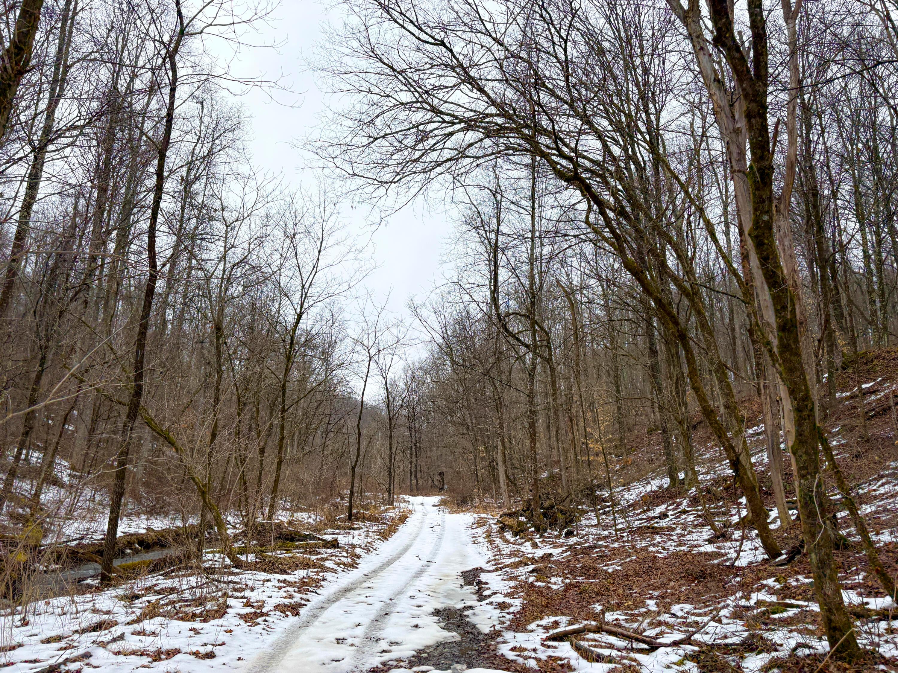 4 Twp Road Woodsfield, OH 43793 - Photo 26 of 31 Tract 4_TD-29