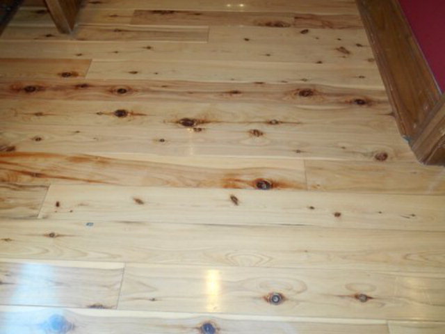 125 Williams Loop Road Roper, NC 27970 - Photo 20 of 33 Additional Photo