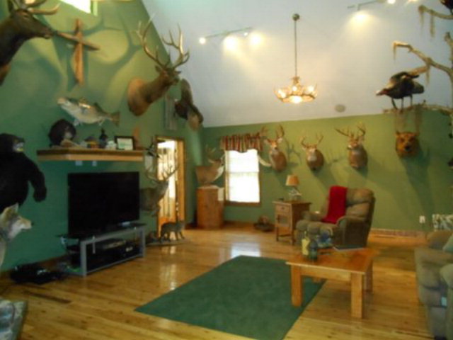 125 Williams Loop Road Roper, NC 27970 - Photo 3 of 33 Additional Photo