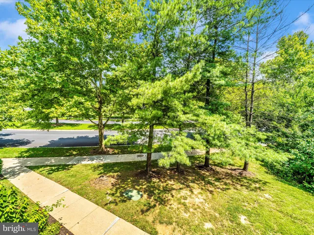 a view of a yard with an trees