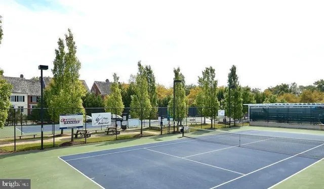 a view of a tennis ground with large trees