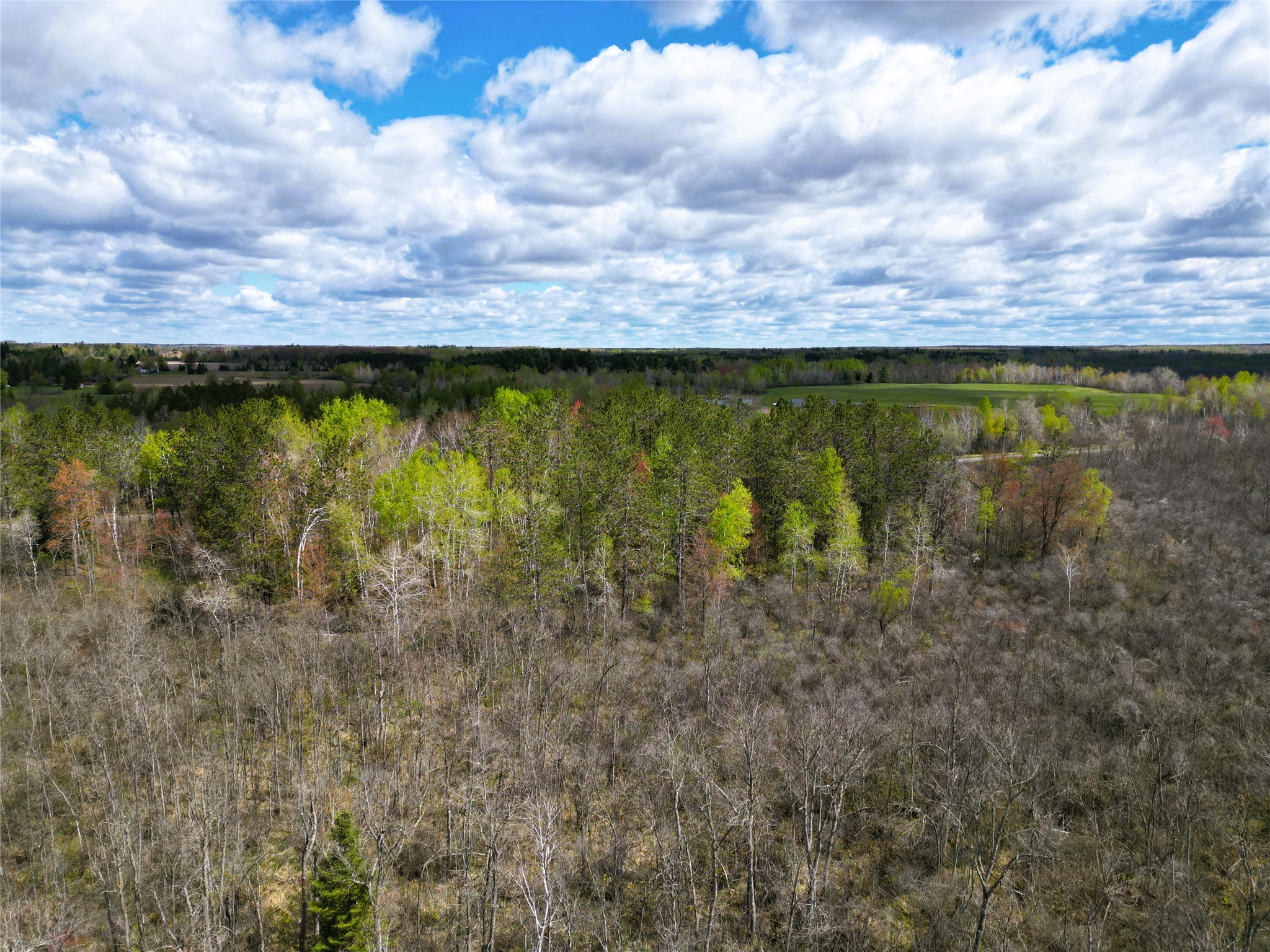 36.5-acres East Cedarbrook Road Ladysmith, WI 54848 - Photo 14 of 18
