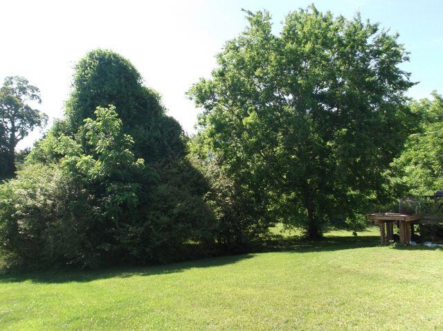 7737 Griffith Road Knoxville, TN 37938 - Photo 4 of 6 Griffith- Rear
