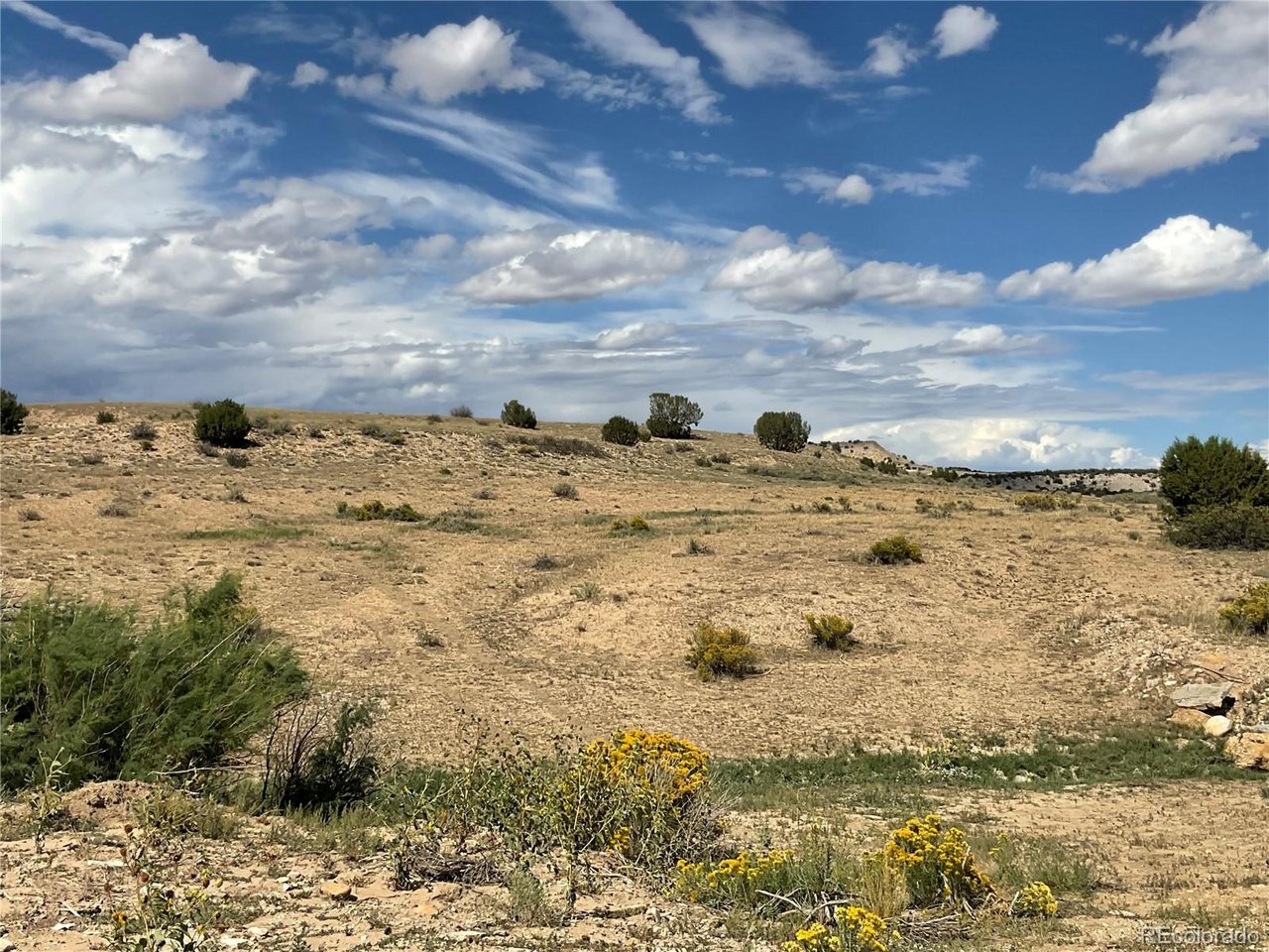21 Ghost River Ranch, Unit 1 Rye, CO 81069 - Photo 13 of 20 Gallery Image 13