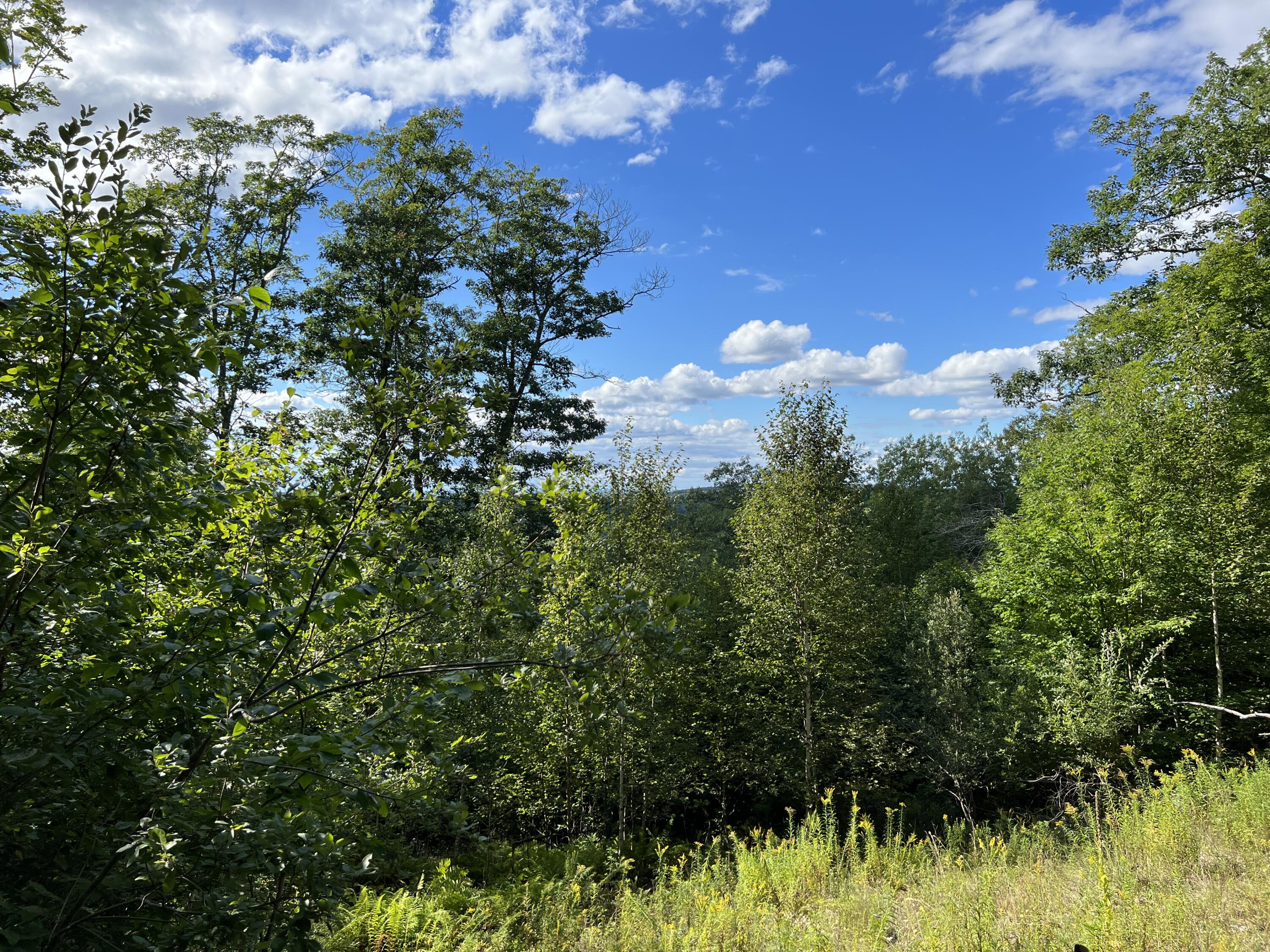 Tbd Mountainy Pond Road Dedham, ME 04429 - Photo 6 of 10 BBF406DB-7BC1-4162-940A-4D608139951F