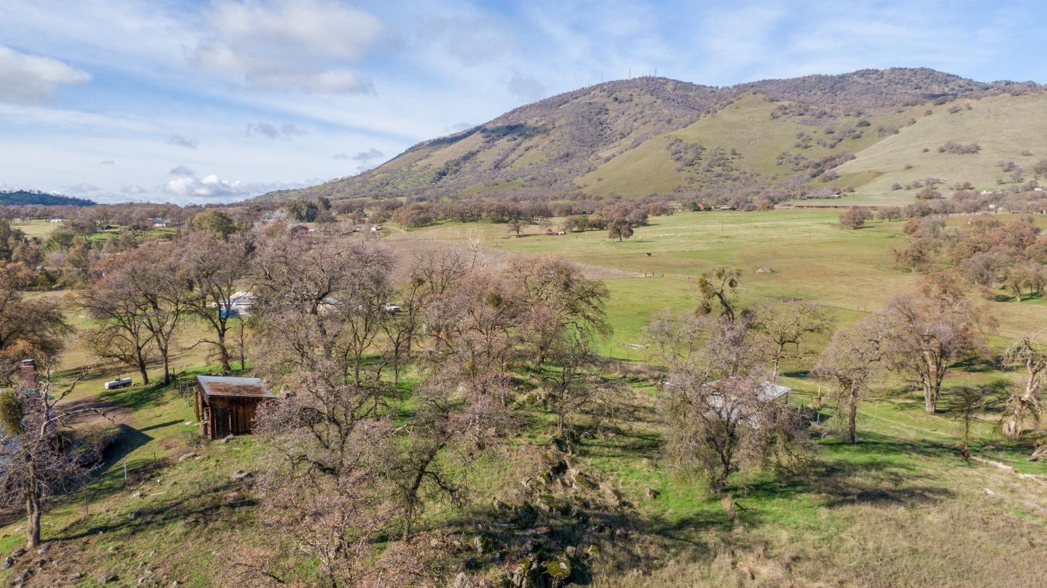 30520 George Smith Road Squaw Valley, CA 93675 - Photo 10 of 11 Gallery Image 10