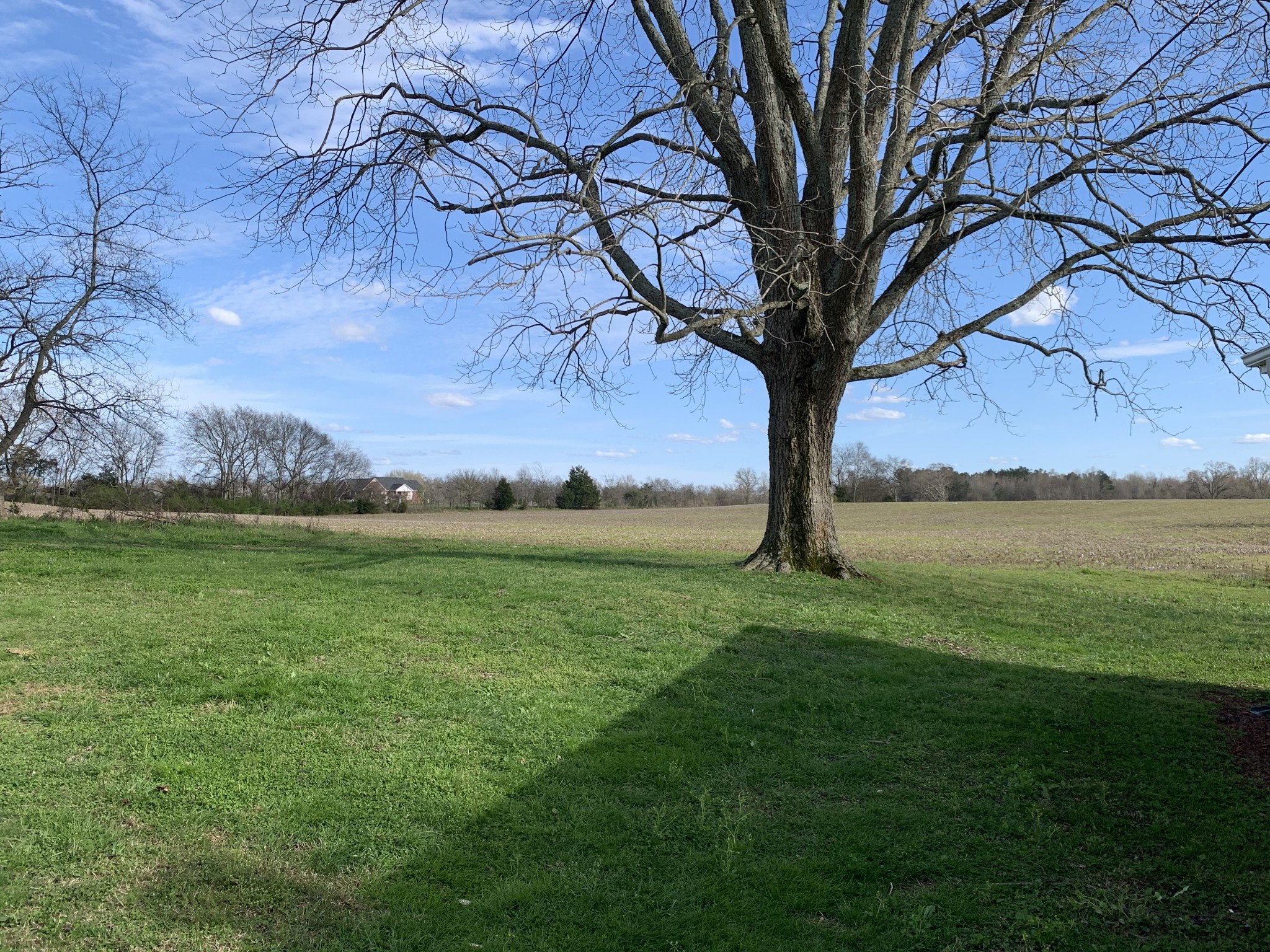62 Asa Smith Road Ardmore, TN 38449 - Photo 24 of 24 a view of yard with outdoor seating