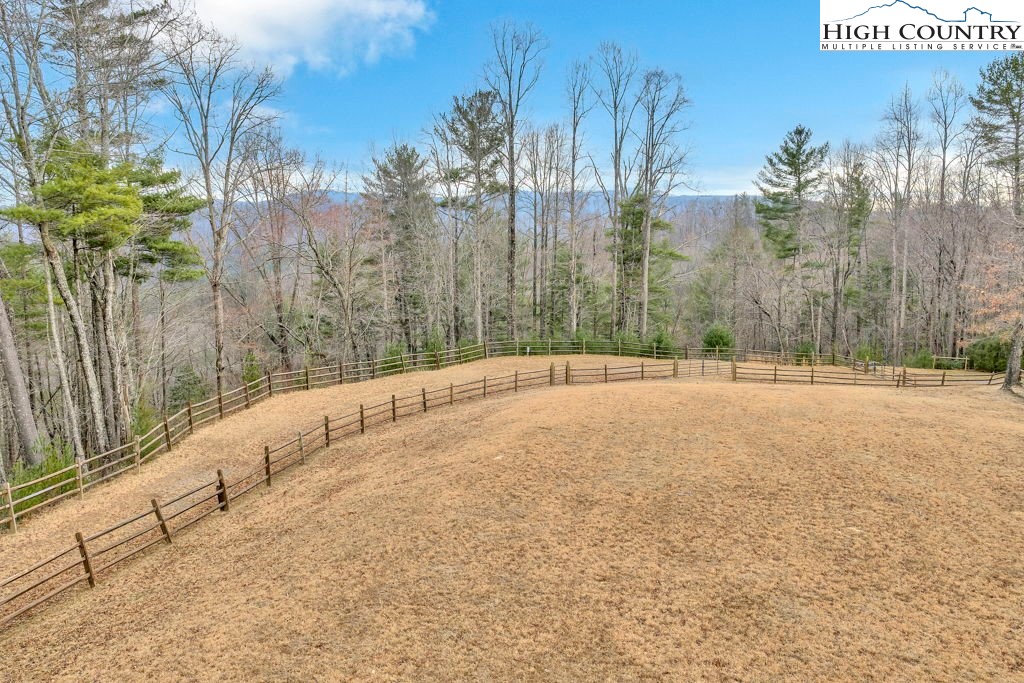 883 Wagon Ridge Road Ferguson, NC 28624 - Photo 48 of 50 a view of outdoor space with trees