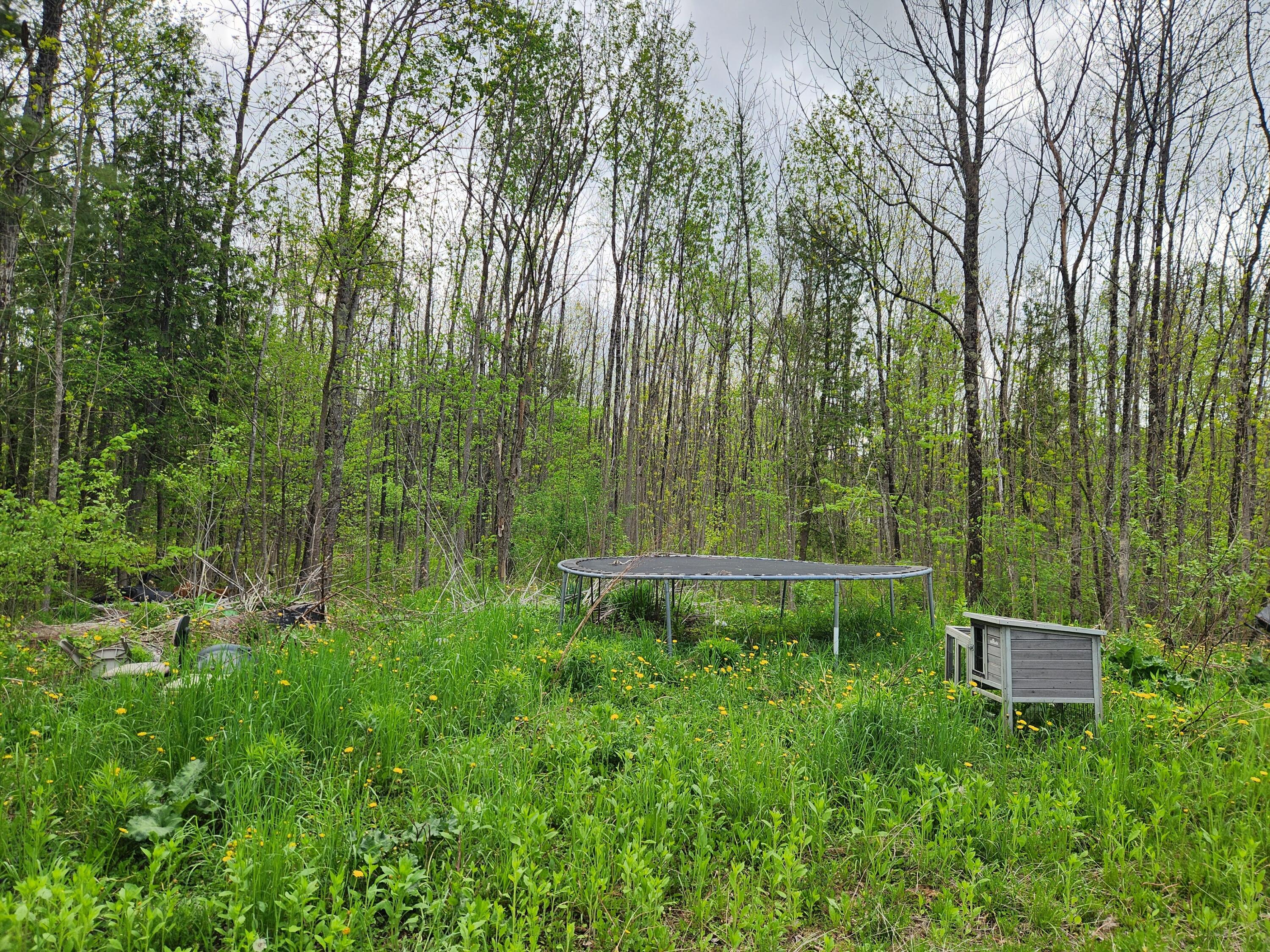 510 Dexter Road Garland, ME 04939 - Photo 12 of 34 20250521_085506
