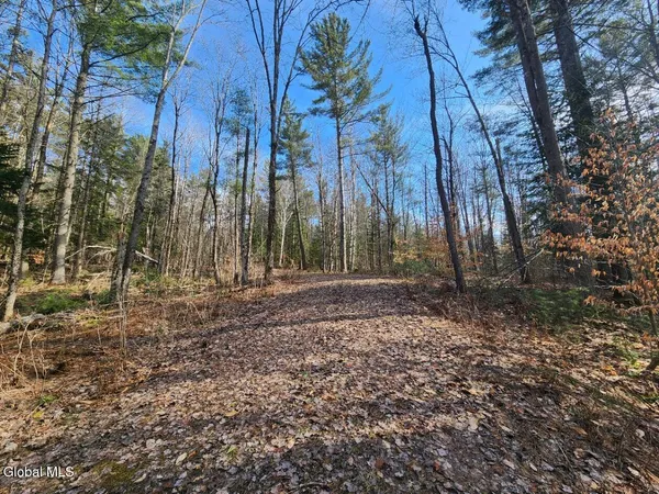 $64,900 | 2442 Highway 8, Lake Pleasant, NY 12108