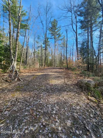 $64,900 | 2442 Highway 8, Lake Pleasant, NY 12108