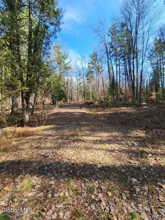 $64,900 | 2442 Highway 8, Lake Pleasant, NY 12108